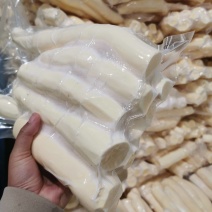 华南9号黄心木薯