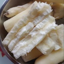 精品可食用广西木薯一手货源全国发货量大价优欢迎随时联系