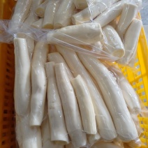 华南9号黄心木薯，粉糯香甜可口，产地直供，全国发货