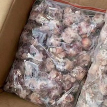 鲅鱼