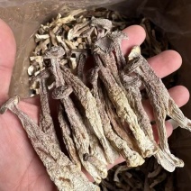 鹿茸菇厂家直销，低价冲销量