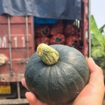 贝贝南瓜爆粉糯无丝