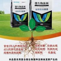 颗粒微生物菌剂2亿