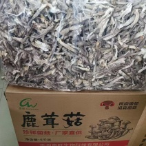贵旺鹿茸去10斤干货整箱菌菇新货鹿耳菇火锅蘑菇煲汤食材