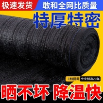 农用黑色平针遮阳网花卉蔬菜大棚果树育苗羊肚菌药材厚平织防