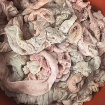 品名:肥猪生大肠规格:10公斤箱