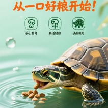 养殖场用高蛋白龟粮——科学配比营养均衡