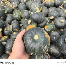 贝贝南瓜电商货4两起，粉糯香甜无筋丝，正宗贝贝南瓜，