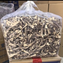 高品质鹿茸菇十斤一箱当季新货质量好