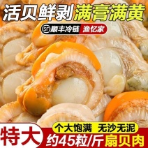 现剥特大扇贝特大号海捕冷冻野生整箱蒜蓉海鲜发现新鲜水产全