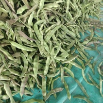 油豆