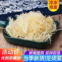山东日照特产龙须菜石花菜半干爽口脆嫩夏季凉拌菜
