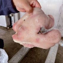 猪头肉