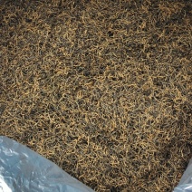 湘西红茶