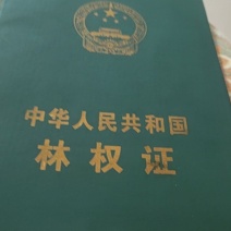 土地转出租200亩左右