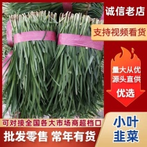 精品韭菜大量上市，质量保证，产地直发欢迎来电咨询