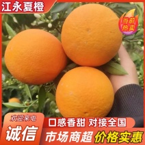 夏橙，江永县产区/自家果园/农家种植/品质严选/榨汁果