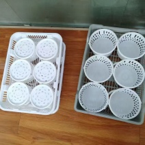 蓝莓采摘桶大量上市欢迎来电采购可视频看货
