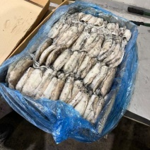墨鱼乌贼50-100，100-200，200-300
