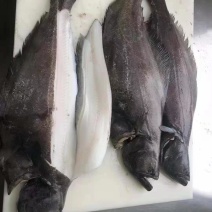 30斤装格林兰去脏鲽鱼