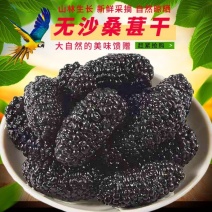 干净无沙新货桑葚干496g黑桑葚果四川桑果干无硫正品净重
