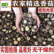 菌逸然农家香菇干货批发肉厚农家椴木小蘑菇新货食用菌商用菌