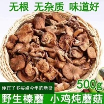 东北野生榛蘑干货榛蘑批发小鸡炖蘑菇吉林长白山干榛蘑丁野