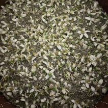 柚子花窨制咖啡豆（3遍窨制一年一次）