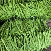 精品扁豆