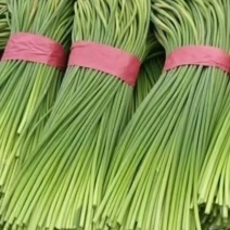 蒜薹