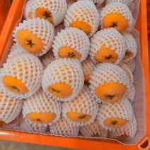 枇杷