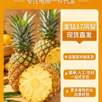 金钻17对接各大平台，市场，电商一件代发欢迎订购