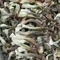 鹿茸菇干鹿茸菇干货菌菇a级鹿茸菇c级鹿茸菇无碎渣不发黄