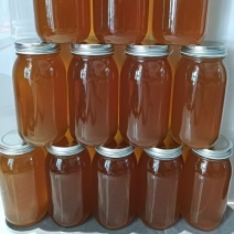 正宗农家百花蜜自然成熟品质保证量大从优