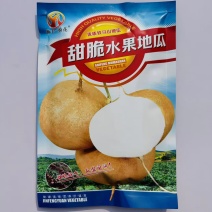 甜脆水果地瓜种子早熟瓜皮薄甜脆可口地瓜种子