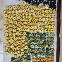 最新下架墨西哥葫芦，模具葫芦