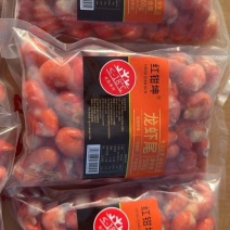 精品特级袋装龙虾尾500g装