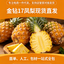 金钻17对接各大平台，市场，电商一件代发欢迎订购