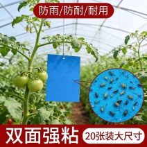 双面粘虫板蓝色蓟马克星飞虫陷阱工厂直营都是批发价蓝色诱虫