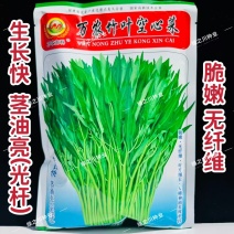 万农竹叶空心菜种子春夏秋蕹菜种籽通心菜种子旱地水地耐热