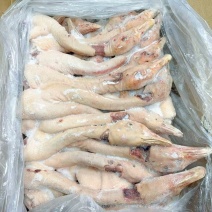 鹅头脖仔鹅工厂直发价格优惠