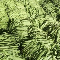 扁豆量大价优