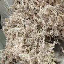 贵州优质水苔
