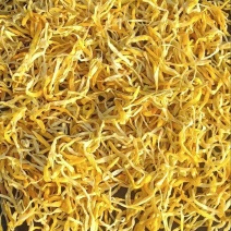 精品祁东黄花菜一手货源全国发货量大价优欢迎随时联系