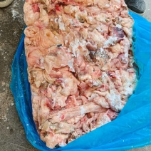山东一手货源国产纯干牛蹄副筋干净无毛价格不高