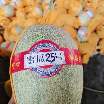 晓蜜25