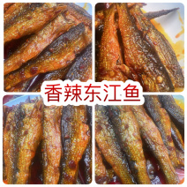 香辣东江鱼地摊电商批发香辣手撕鱼干熟食熏鱼小鱼仔