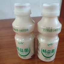 乳酸菌饮品340mL一箱*12瓶塑包装厂家直发