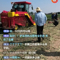 山东大蒜联合收获机厂家直销欢迎来电咨询下单