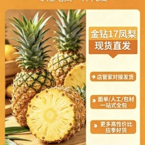 金钻17对接各大平台，市场，电商一件代发欢迎订购